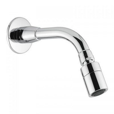 Dianflex BRACCIO DOCCIA ANTIVANDALO IN TUBO CON SOFFIONE ORIENTABILE   cm 16,5 - 110-1173