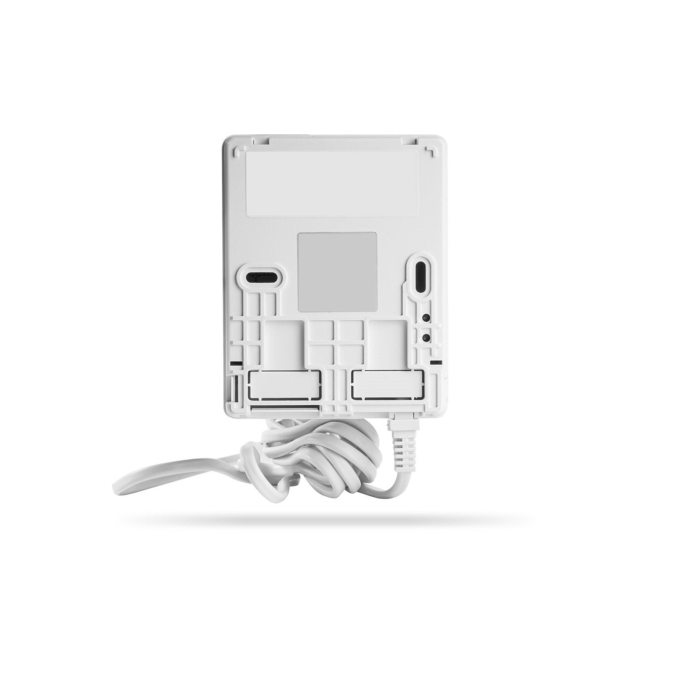 Détecteur de monoxyde de carbone Seitron CO avec stockage Beagle RDCBA1