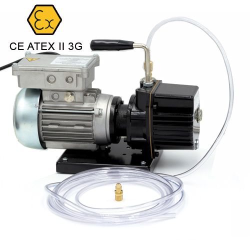 Wigam RS3D-EX pompa per vuoto e scarico con motore Atex 02002052