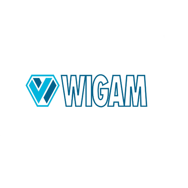 Wigam D 3174 Disco diagrammale - 09009003
