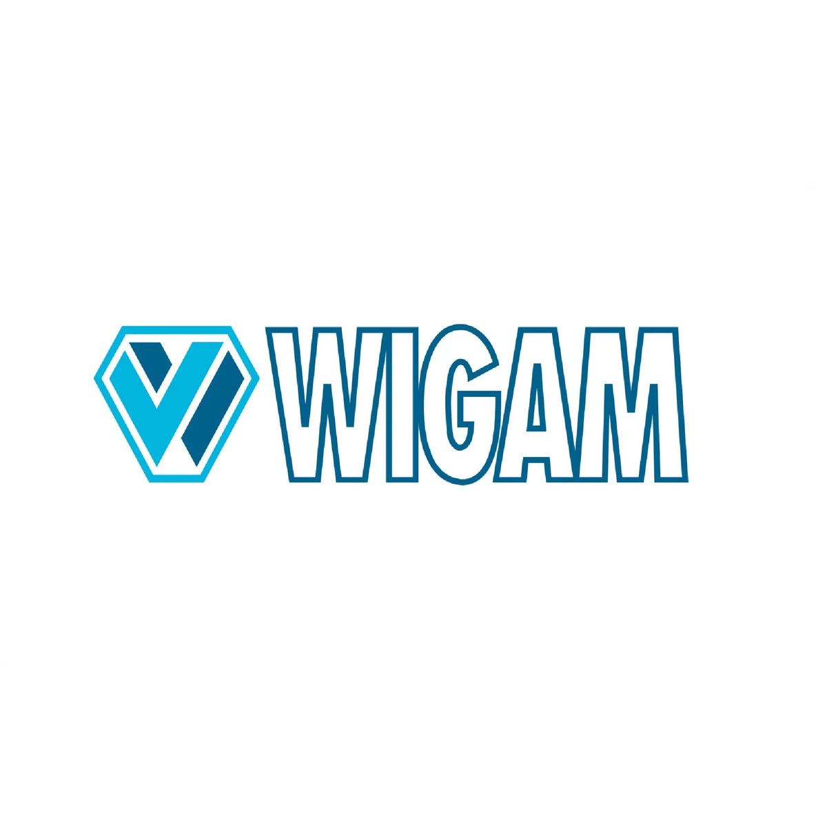 Wigam cricchetto per W850-AVIO 08050059